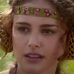 Padme from the meme